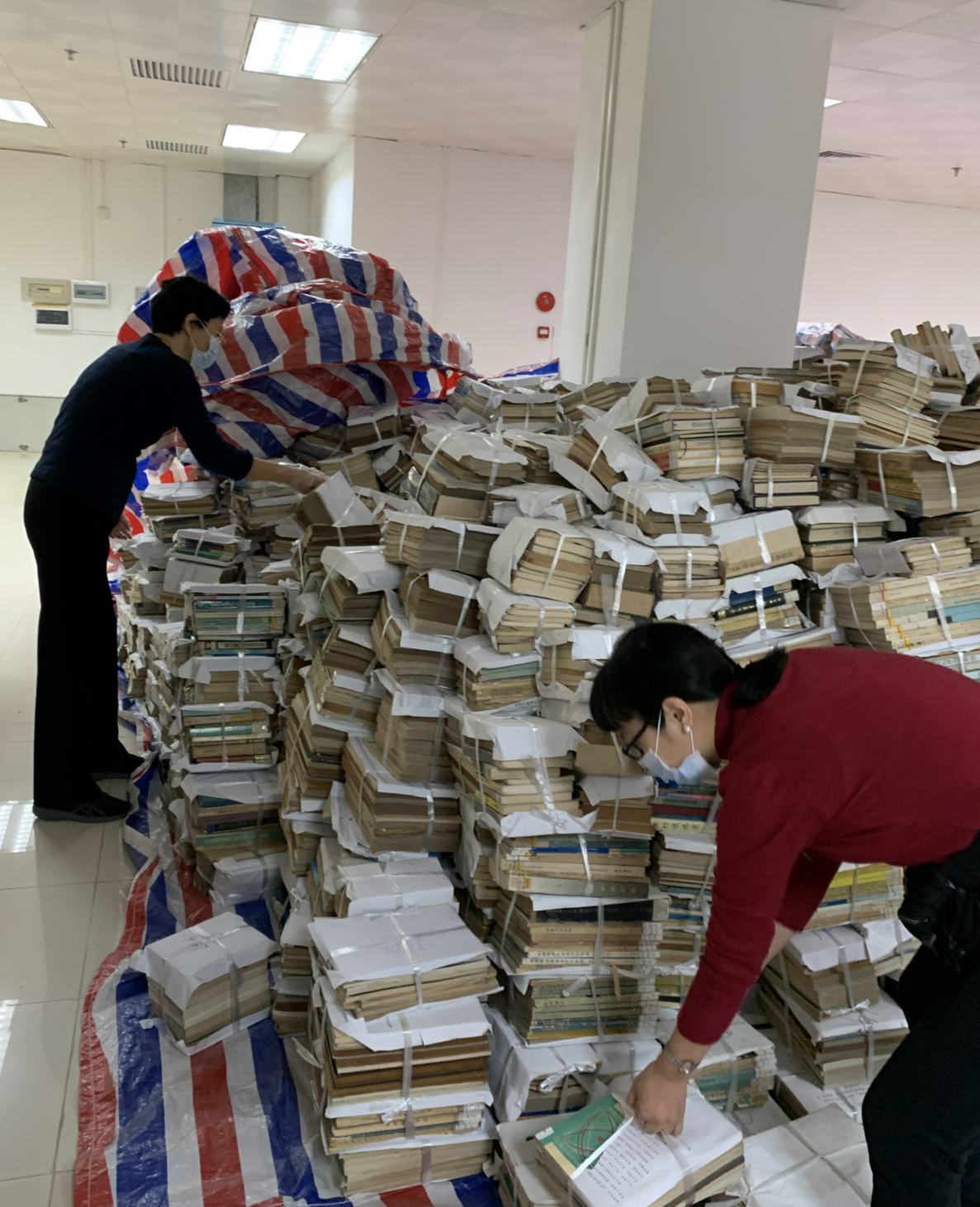 搬运图书