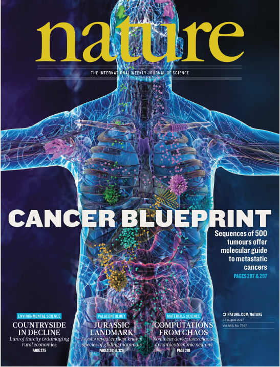 Nature期刊封面故事26